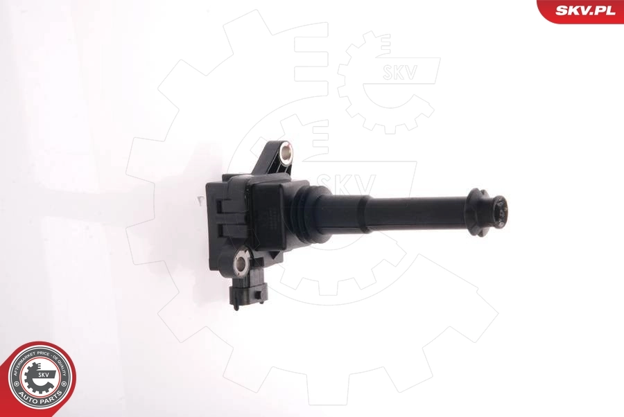 Ignition Coil 03SKV011