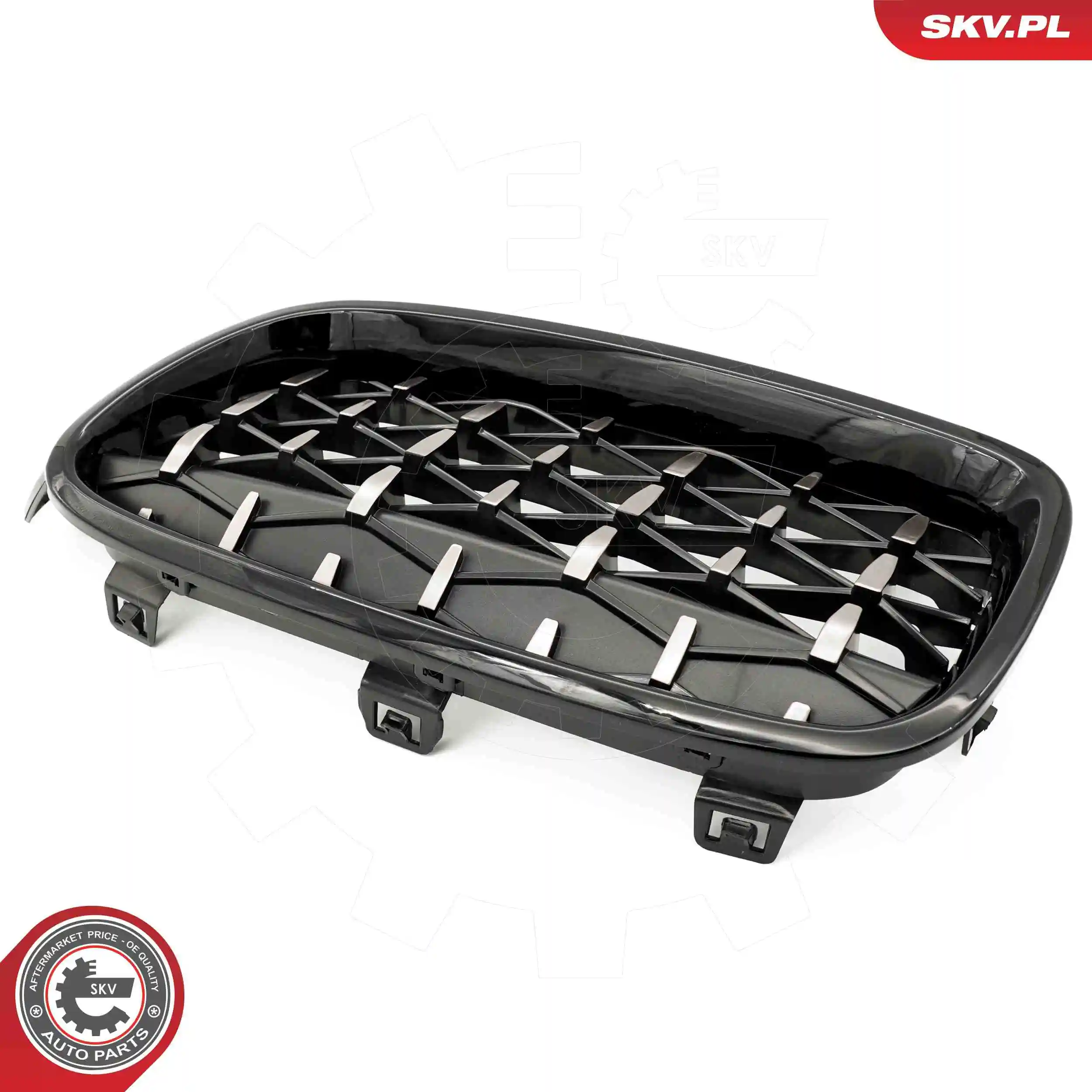 Radiator Grille 66SKV129