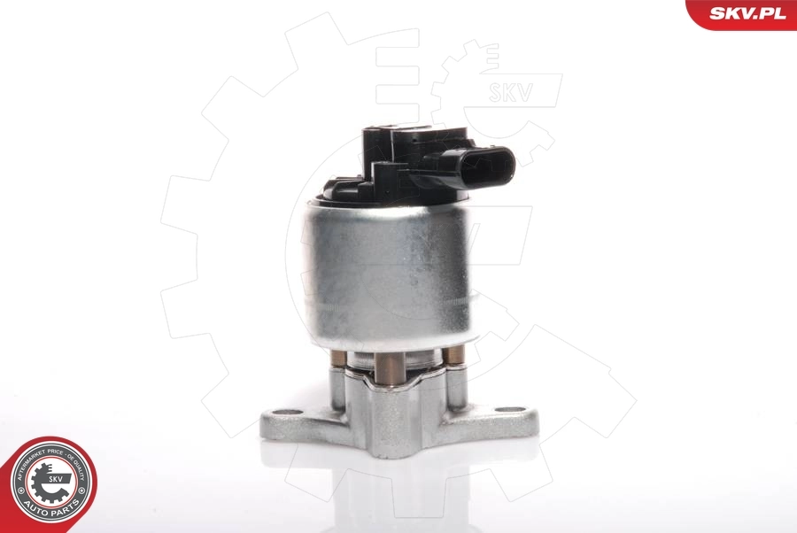 EGR Valve 14SKV041