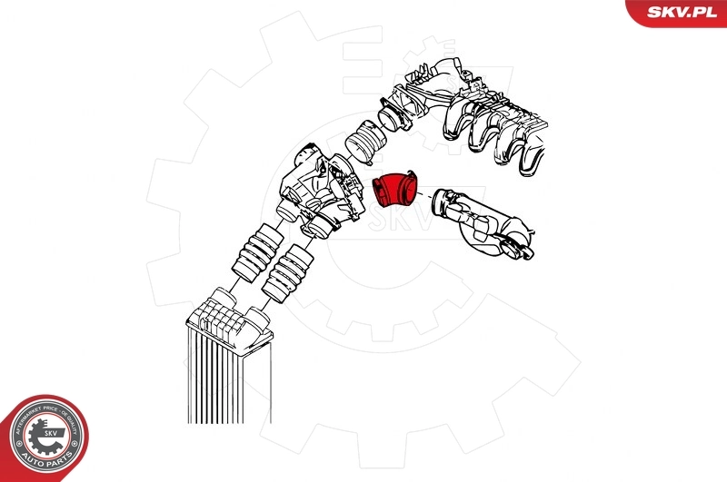 Charge Air Hose 24SKV126