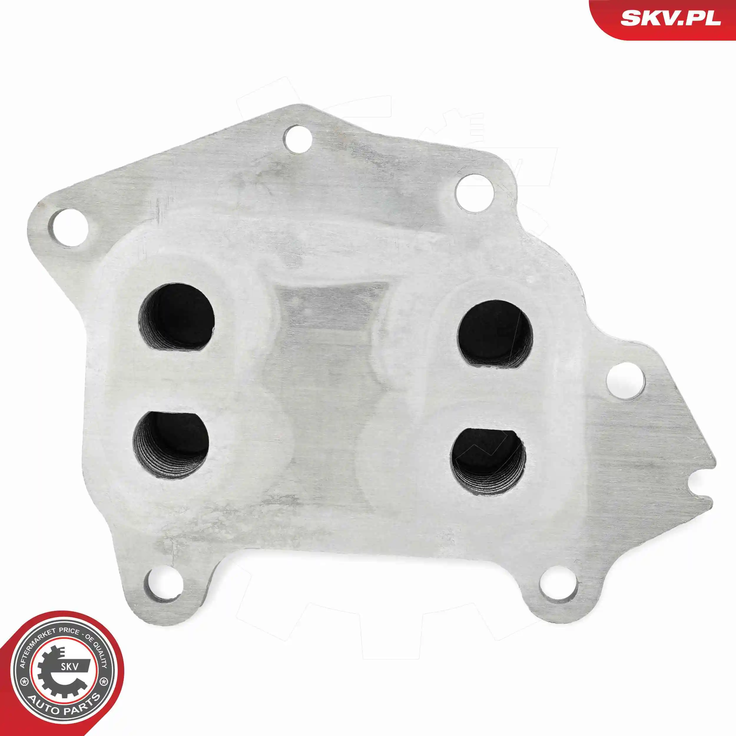ESEN SKV 31SKV381 Oil Cooler, engine oil
