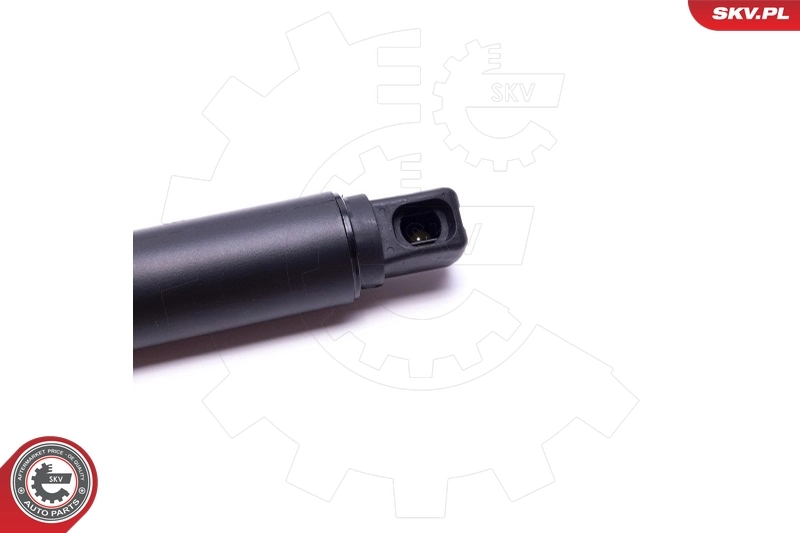 Electric Motor, tailgate 52SKV947