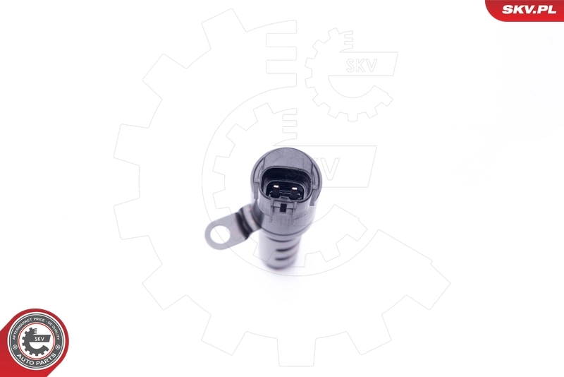 Control Valve, camshaft adjustment 39SKV022
