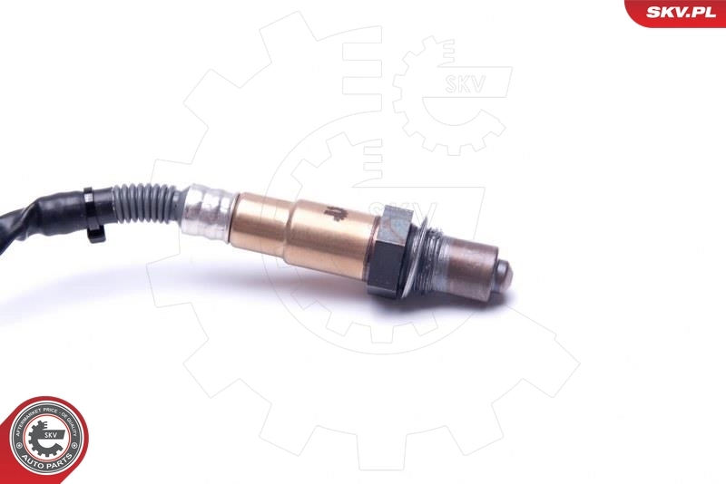 Oxygen Sensor 09SKV422
