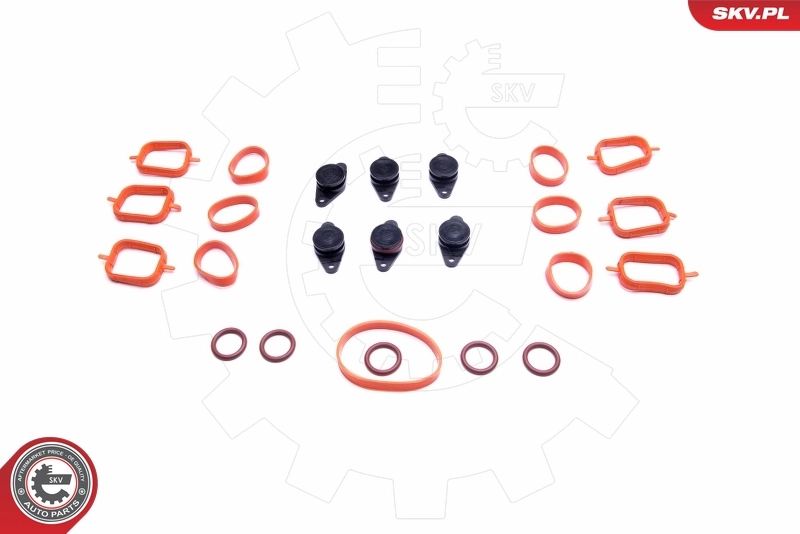 ESEN SKV 49SKV562 Repair Kit, intake manifold module