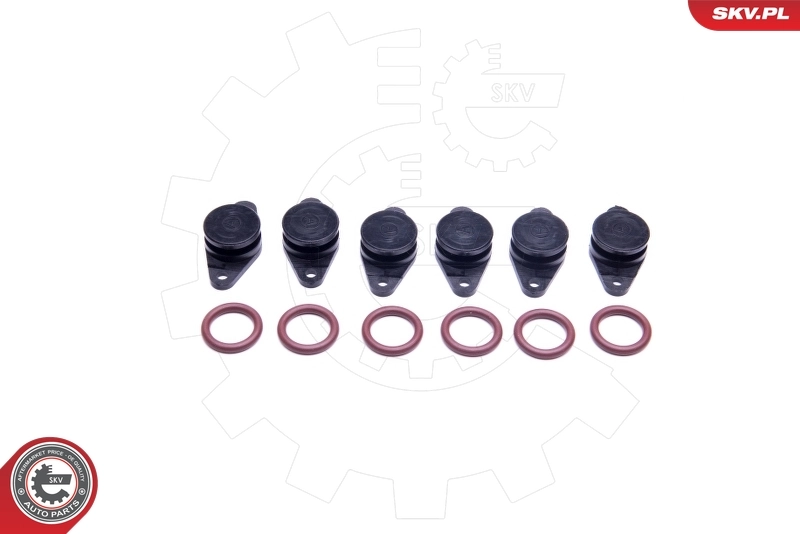 ESEN SKV 49SKV559 Repair Kit, intake manifold module