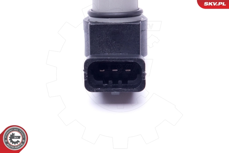 Sensor, camshaft position 17SKV496