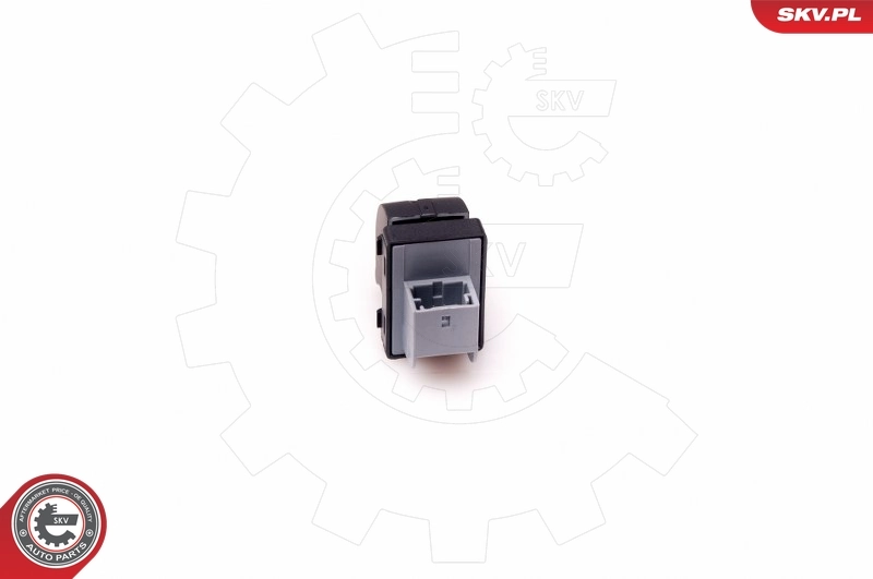 Interruptor, elevalunas 37SKV303