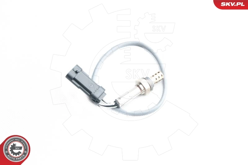 Oxygen Sensor 09SKV098