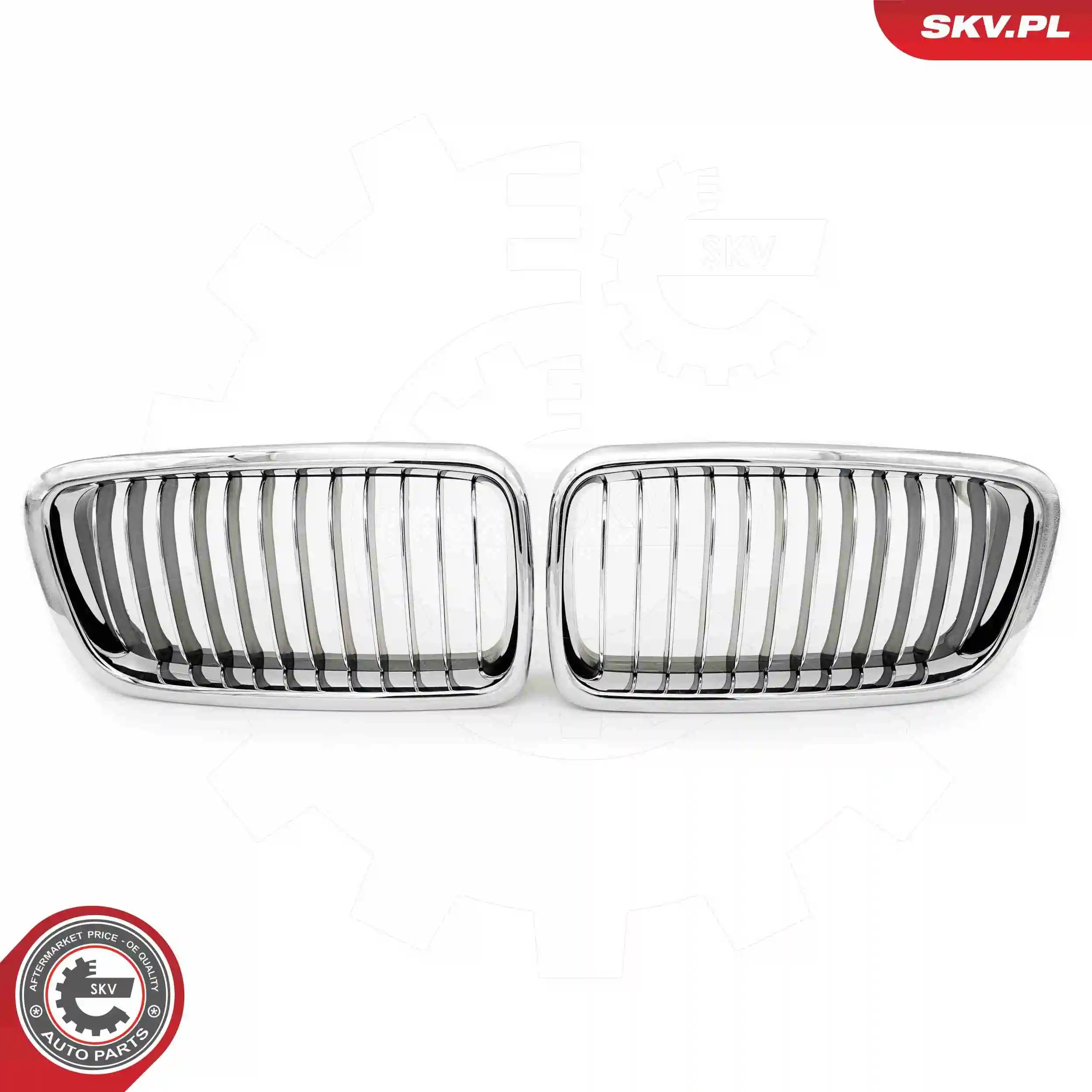 ESEN SKV 66SKV215 Radiator Grille