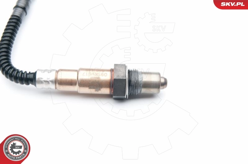 Oxygen Sensor 09SKV617