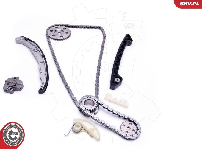 Timing Chain Kit 21SKV242