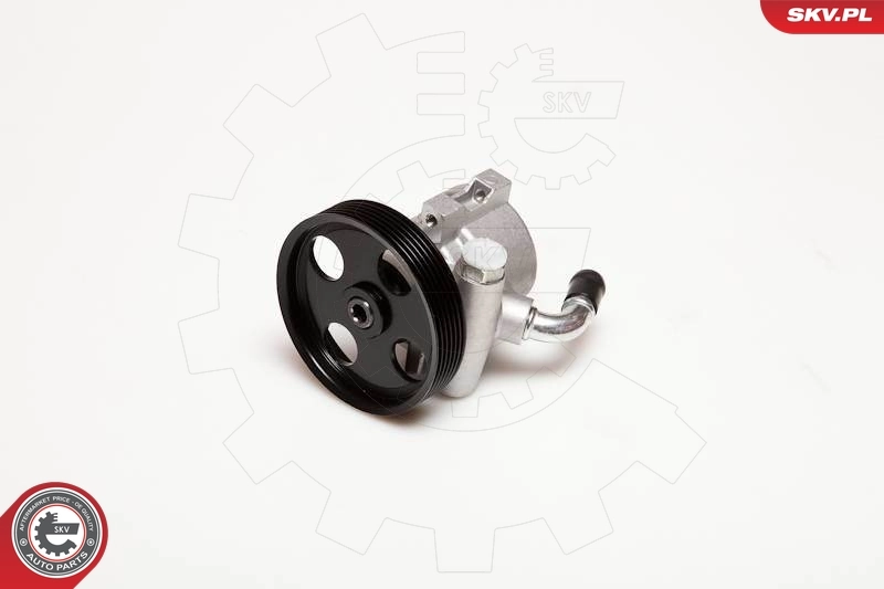 Hydraulic Pump, steering 10SKV025