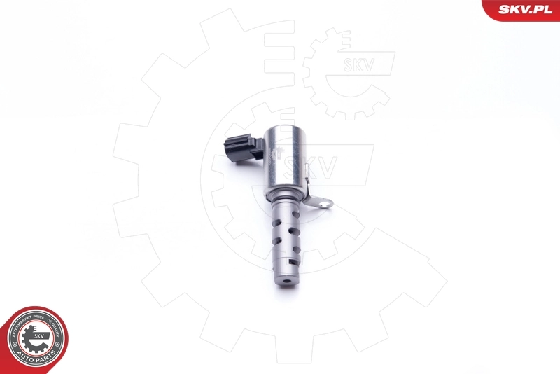 Control Valve, camshaft adjustment 39SKV030