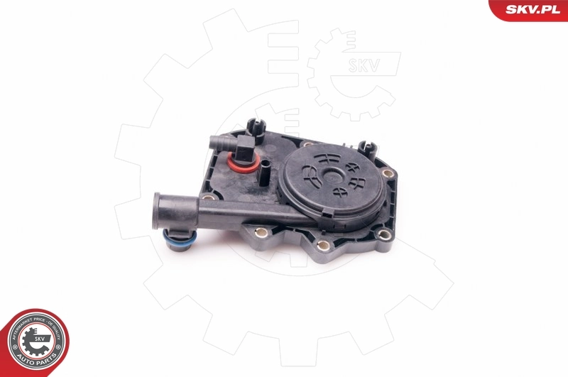 Hose, crankcase ventilation 31SKV031