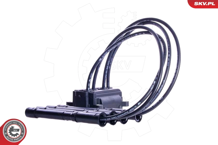 Ignition Coil 03SKV087