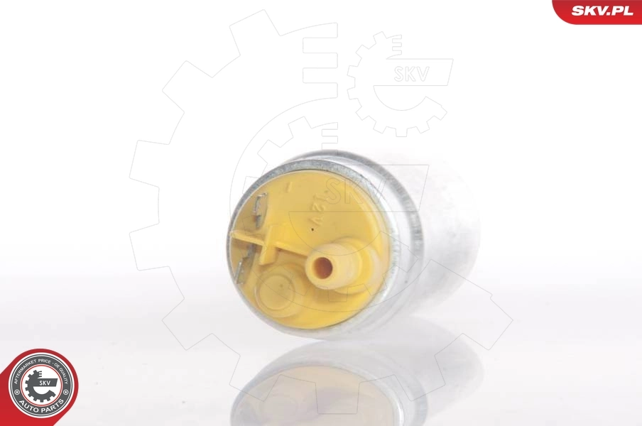 Fuel Pump 02SKV229