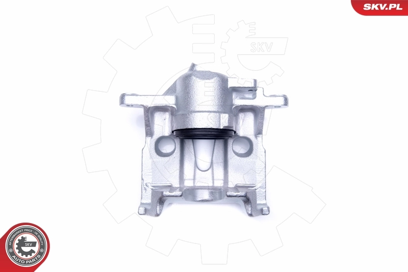 Brake Caliper 45SKV322
