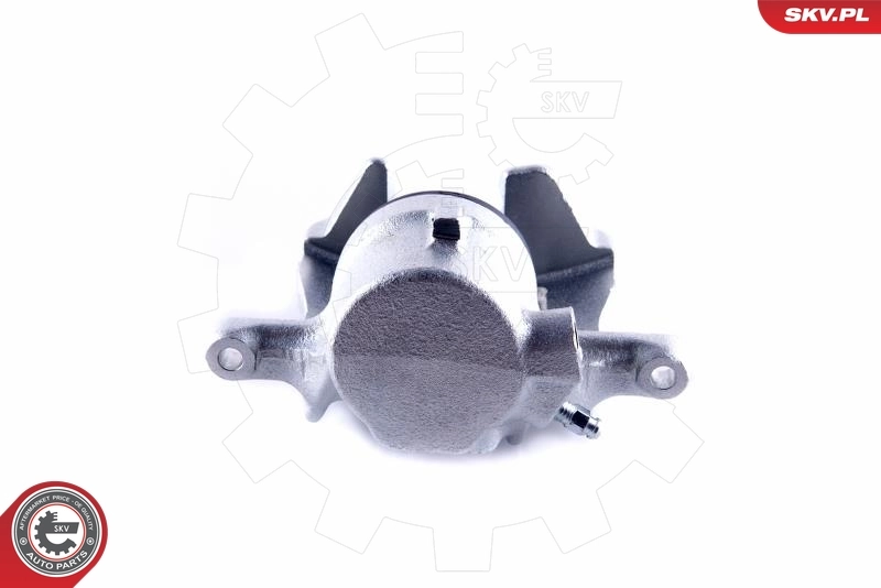 ESEN SKV 55SKV041 Brake Caliper