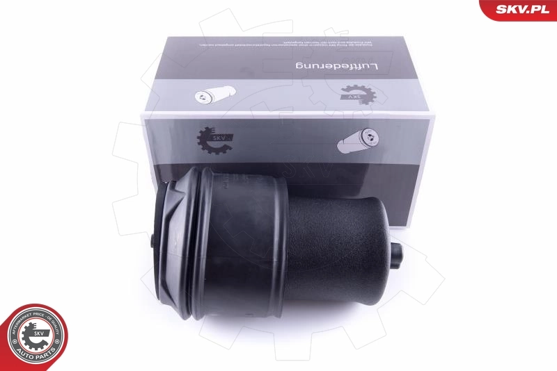 Air Spring, suspension 58SKV022