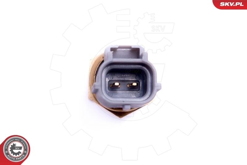 Sensor, intake air temperature 17SKV684