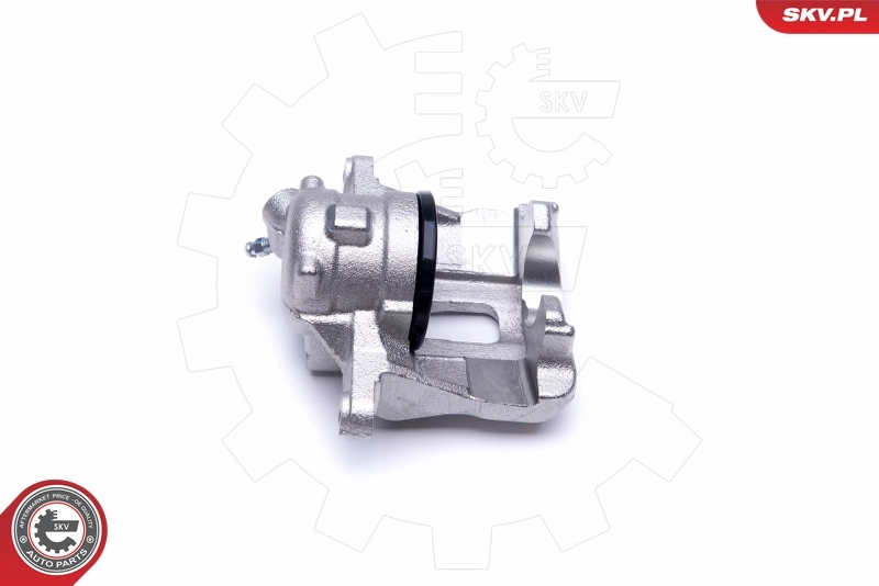 Brake Caliper 50SKV281