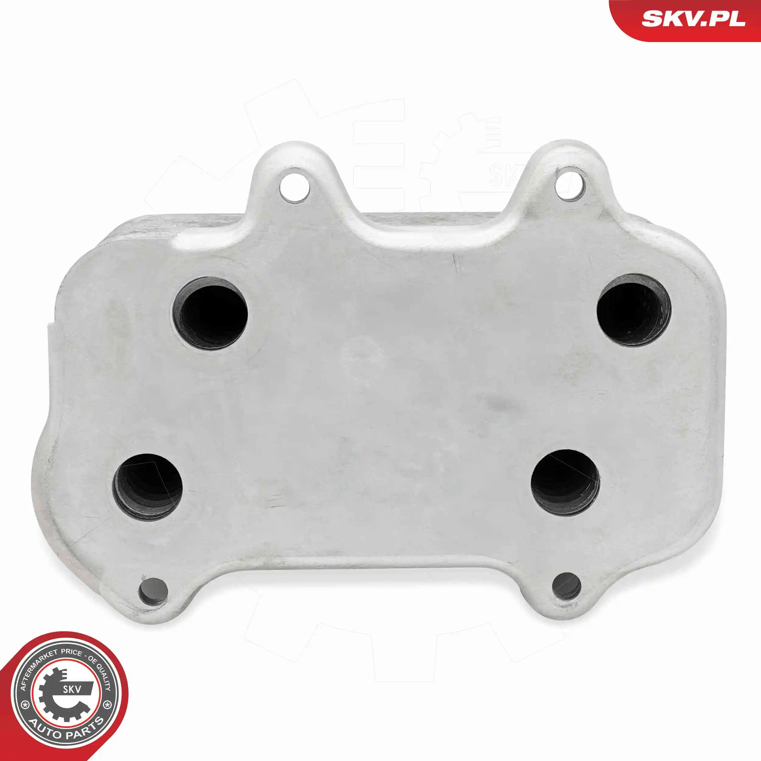 Oil Cooler, engine oil 31SKV334