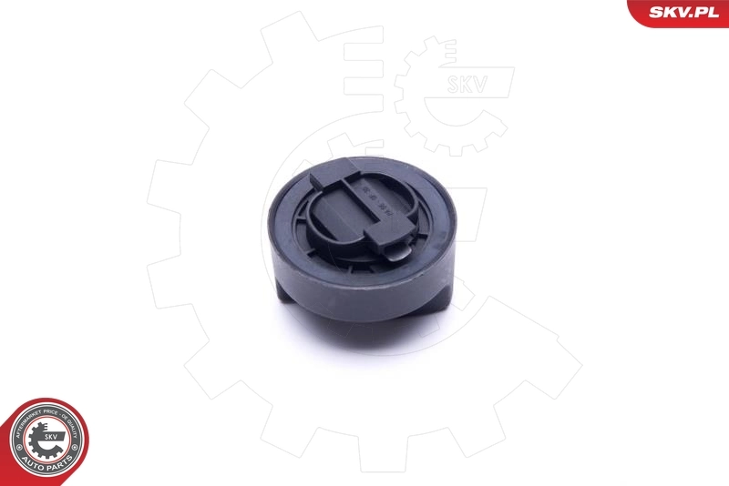 Sealing Cap, oil filler neck 61SKV034