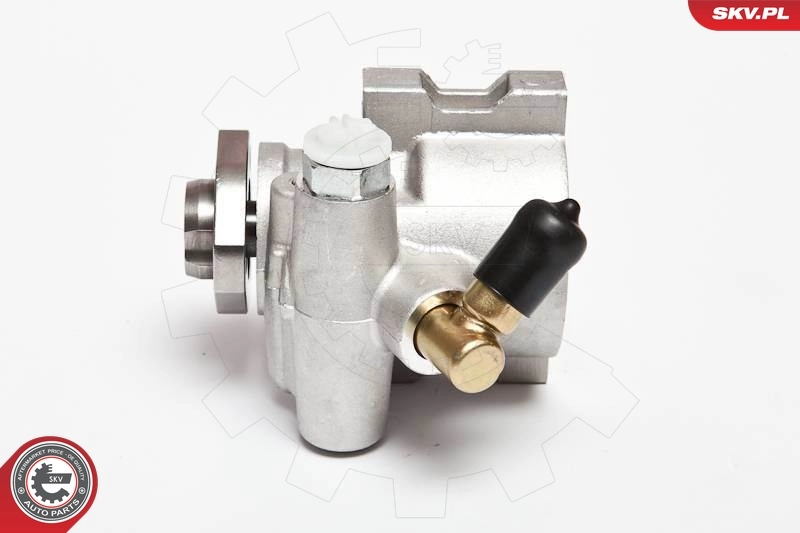 Hydraulic Pump, steering 10SKV047