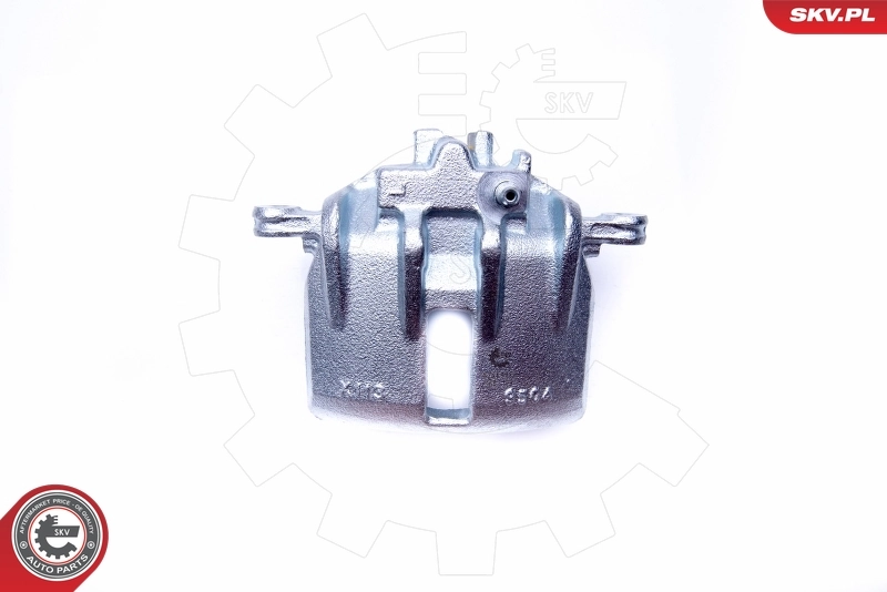 Brake Caliper 42SKV181