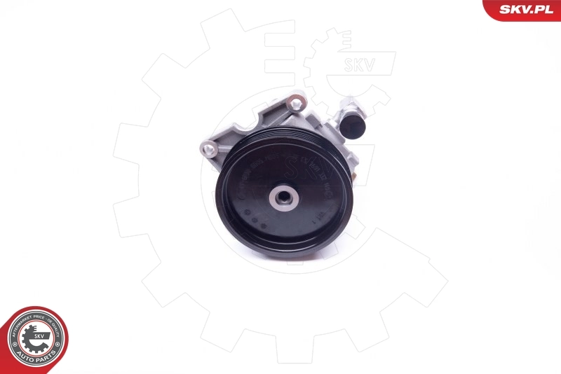 Hydraulic Pump, steering 10SKV235