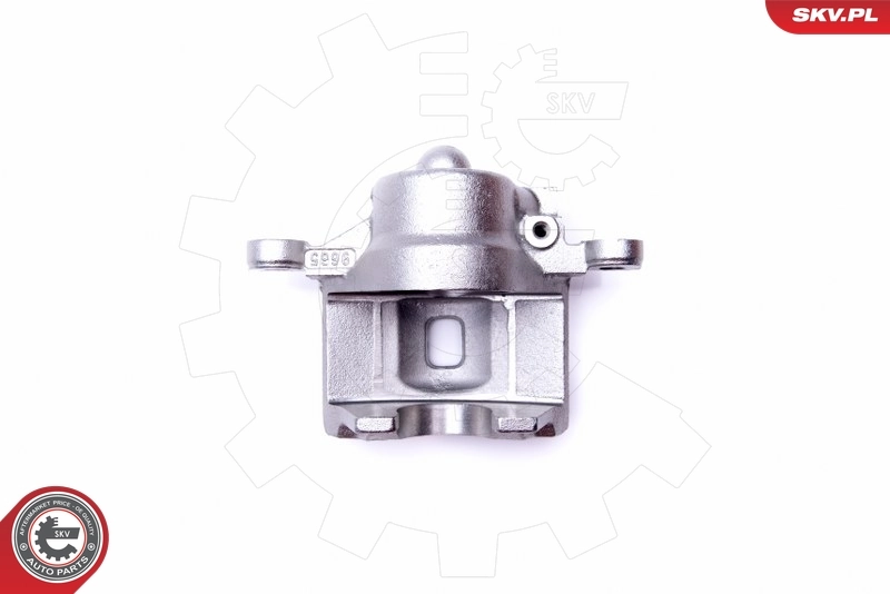 Brake Caliper 45SKV691
