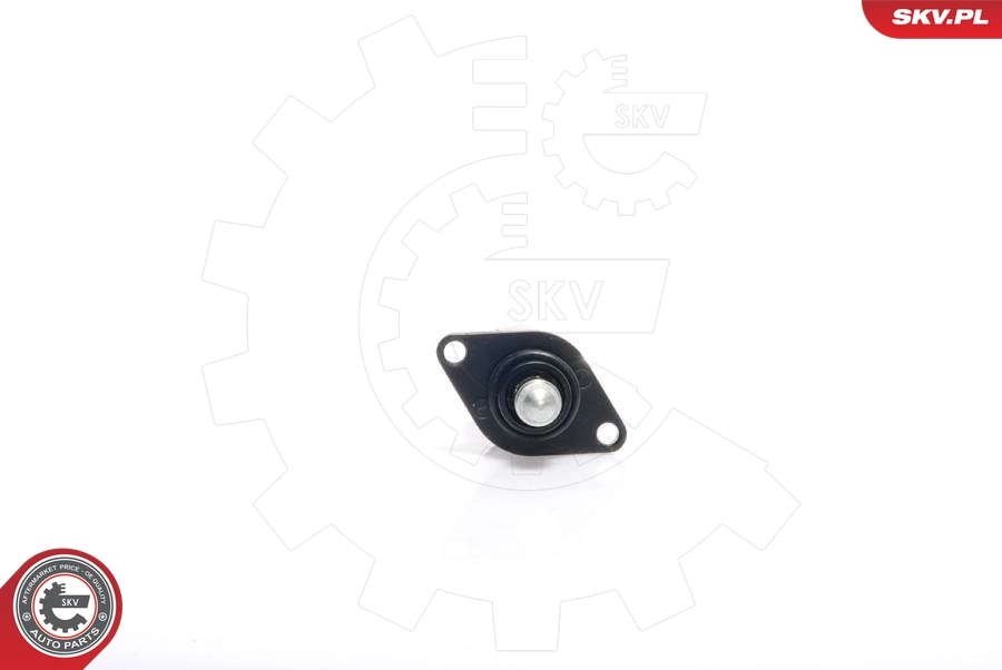 Idle Control Valve, air supply 08SKV029