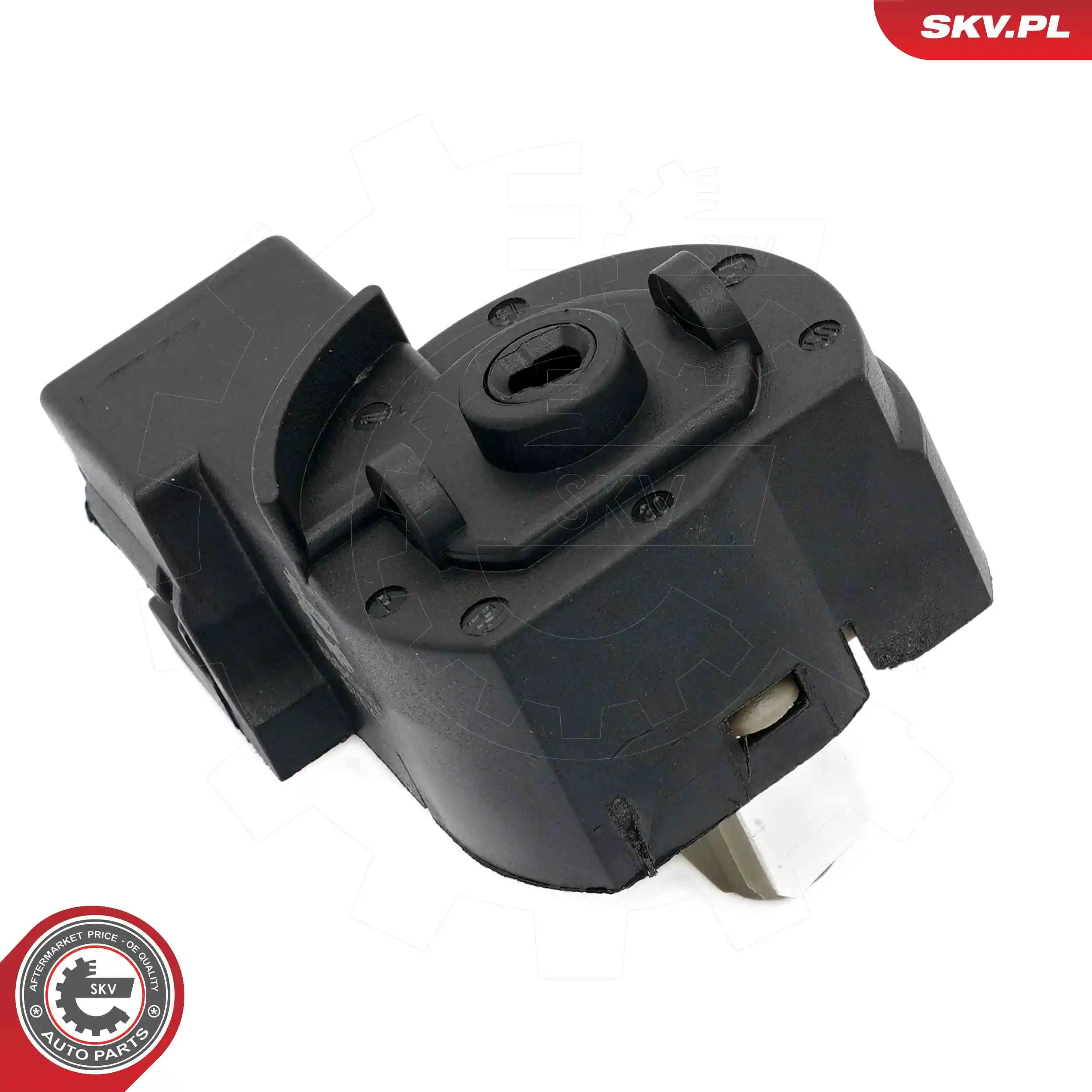 Ignition Switch 65SKV021
