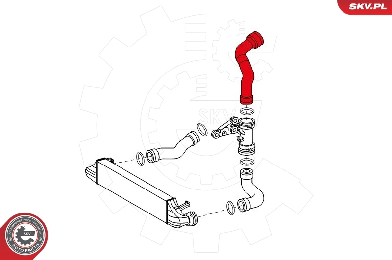 Charge Air Hose 24SKV621