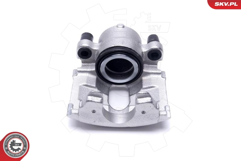 Brake Caliper 56SKV072