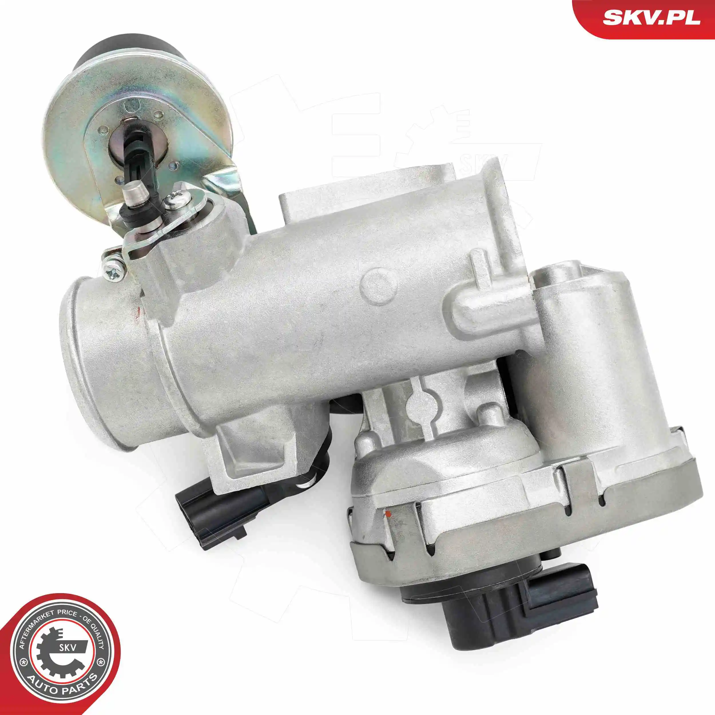 ESEN SKV 14SKV256 EGR Valve