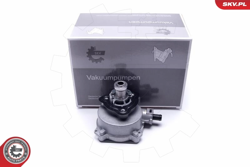 Vacuum Pump, braking system 18SKV045
