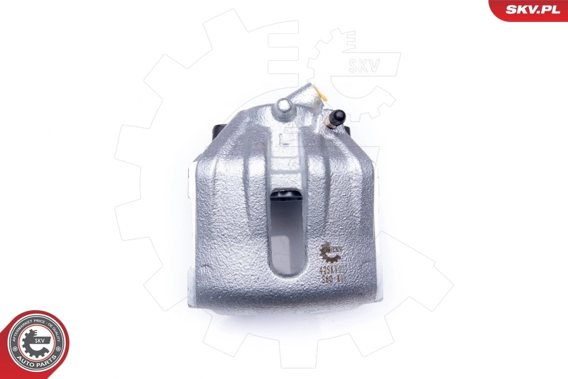 Brake Caliper 42SKV021