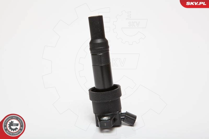 Ignition Coil 03SKV201