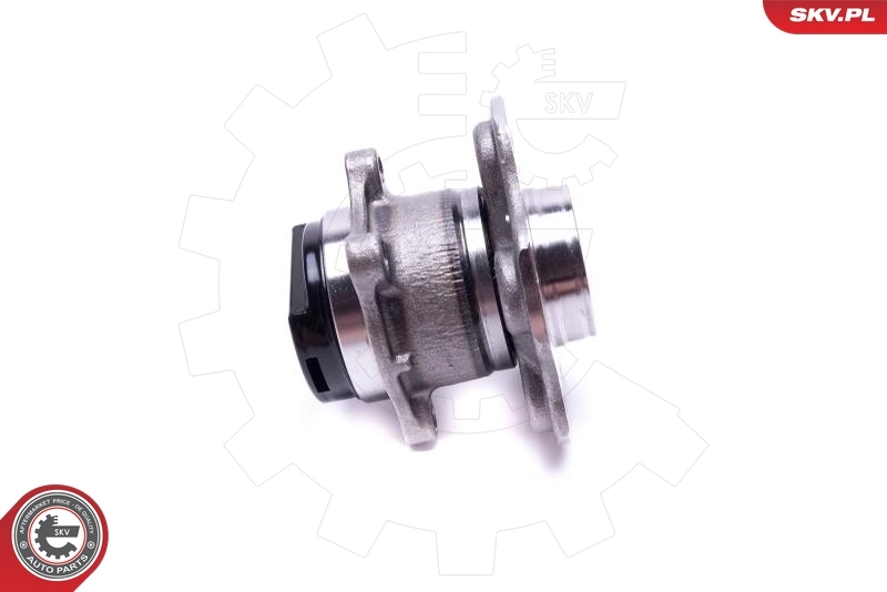 Wheel Bearing Kit 29SKV543