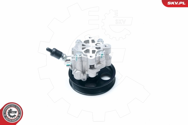 Hydraulic Pump, steering 10SKV195