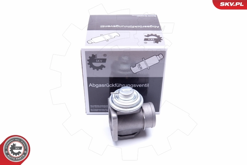 EGR Valve 14SKV174