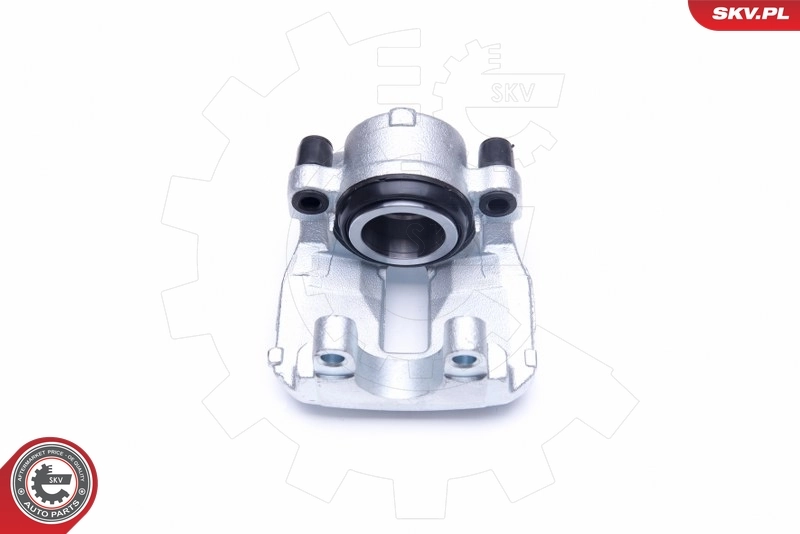 Brake Caliper 44SKV461