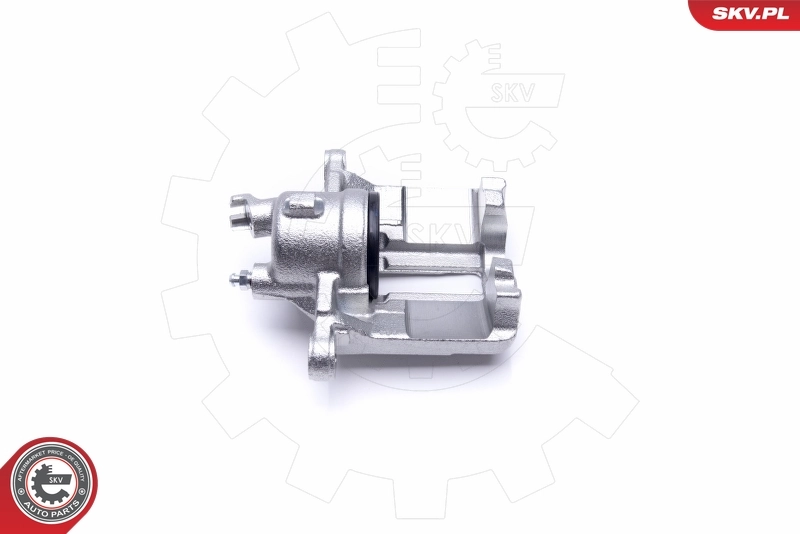Brake Caliper 46SKV041