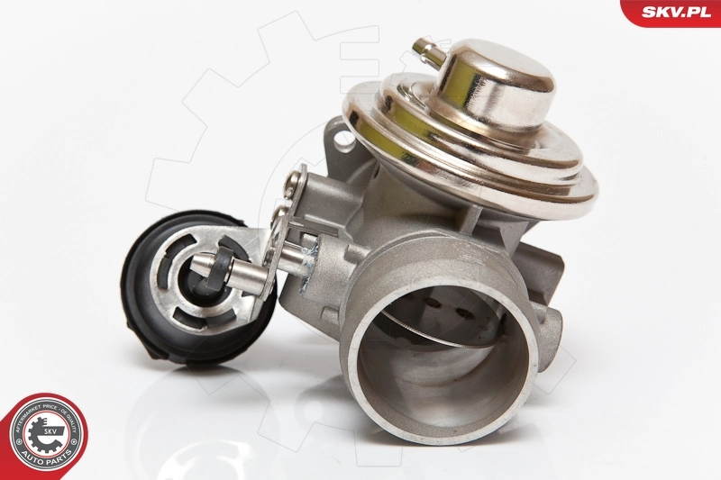EGR Valve 14SKV082