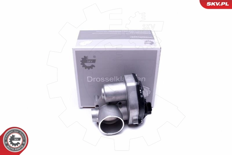 Throttle Body 12SKV092