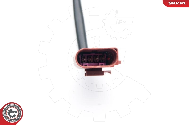 Oxygen Sensor 09SKV698