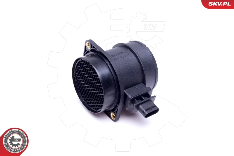 Mass Air Flow Sensor 07SKV173
