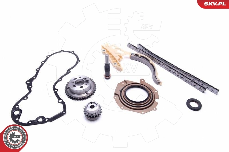 Timing Chain Kit 21SKV114